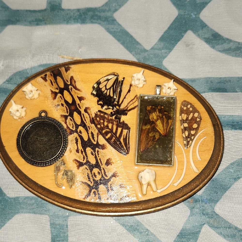 Butterfly and Bone Art Oval Plaque